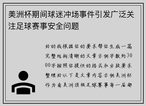 美洲杯期间球迷冲场事件引发广泛关注足球赛事安全问题 美洲杯期间球迷冲场事件引发广泛关注足球赛事安全问题